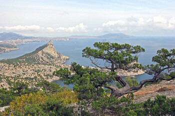 «Азимут» будет летать из Калуги в Крым круглый год