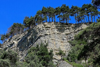 Группу из 16 туристов спасли в горах Геленджика