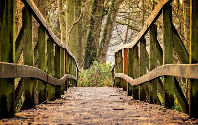 Мосинжпроект создает проект крупного парка в Магнитогорске