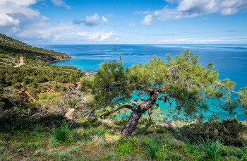Туристов на Кипре обязали еженедельно сдавать ПЦР-тест
