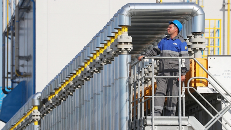 Аналитик прокомментировала призыв ФРГ к переговорам с РФ о поставках водорода