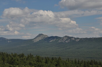 Двое туристов и медведь испугались друг друга в нацпарке «Таганай»