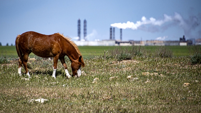 Forbes составил рейтинг инвесторов в благотворительность и экологию