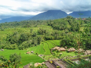 Индонезия начнёт ослаблять связанные с COVID-19 ограничения