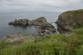 МЧС рекомендует эвакуировать туристов с побережья Приморья