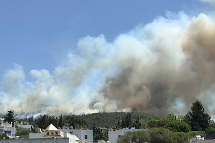 Мощный пожар в Турции сумели взять под контроль