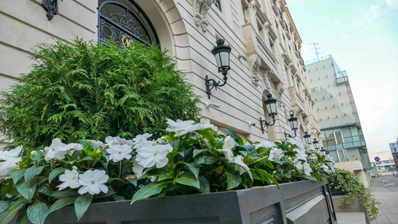 Рынку дорогого арендного жилья в Москве спрогнозировали рост цен до 15%