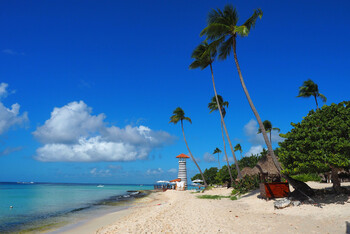 Туры в Доминикану подешевели на 40-60%