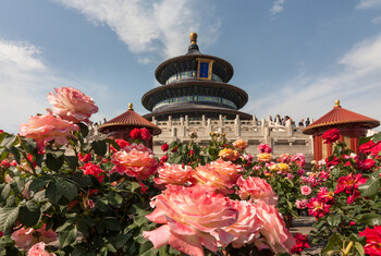 В Китае ужесточают ограничения на поездки граждан за рубеж