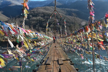 В Венгрии планируют построить самый длинный подвесной мост в мире