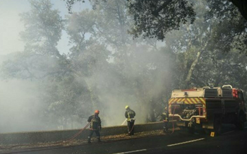 Во Франции из-за лесных пожаров эвакуировали туристов