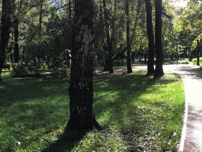 Замминистра строительства и ЖКХ РФ посетил с рабочим визитом Тюменскую область