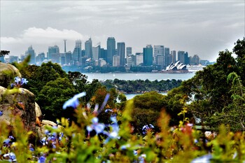 Австралия планирует начать процесс открытия границ к Рождеству