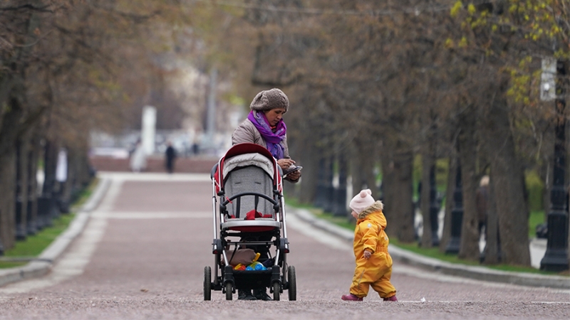 Экономист прокомментировал планы по индексации маткапитала