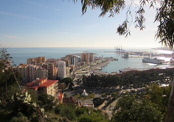 В испанской Малаге бушует сильный лесной пожар 