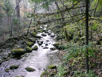 В Приморье турист пытался помыть арбуз в водопаде и погиб