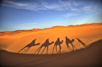 Авиакомпании РФ организуют вывозные рейсы из Марокко после приостановки авиасообщения