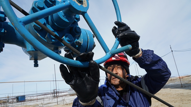 Читатели польского портала осудили Евросоюз за борьбу с российским газом