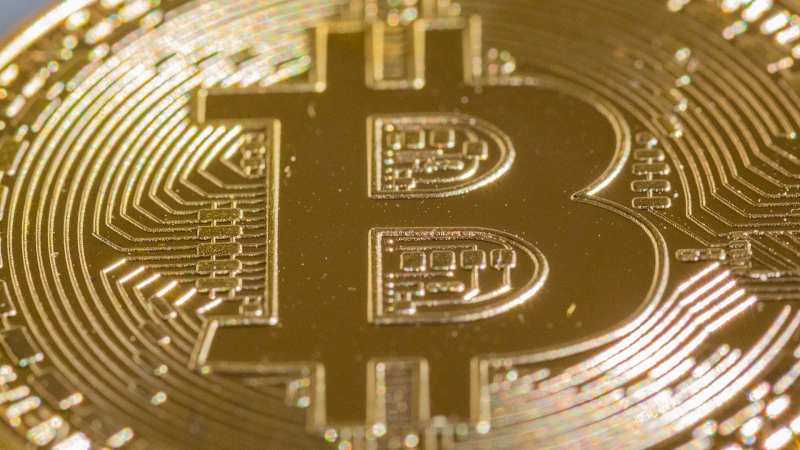 Эксперт дал советы по выбору криптовалюты для инвестирования