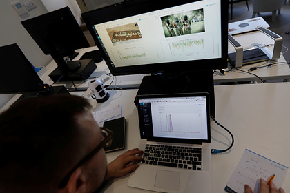 Канадец притворялся террористом ИГИЛ и раздавал интервью о жизни палача в Сирии