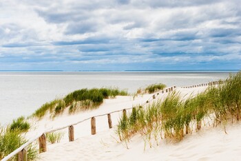 Нацпарк Куршская коса закрывается для тургрупп