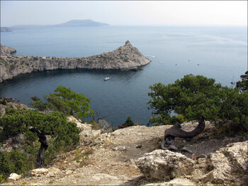 Отели Крыма потребуют у туристов с QR-кодами ещё и ПЦР-тест