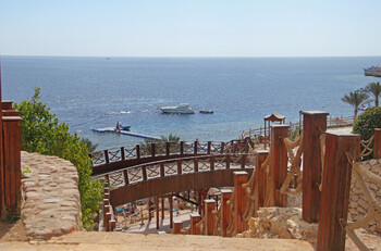 «Победа» назвала даты запуска рейсов на курорты Египта 