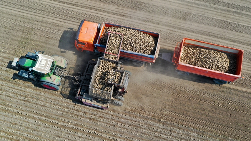 Путин назвал хорошими сборы урожая в РФ