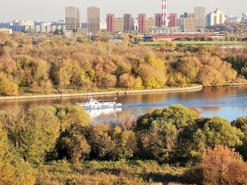 Россиян призывают воздержаться от поездок в другие регионы