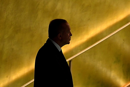 Стало известно о попытке отговорить Эрдогана от высылки послов десяти стран