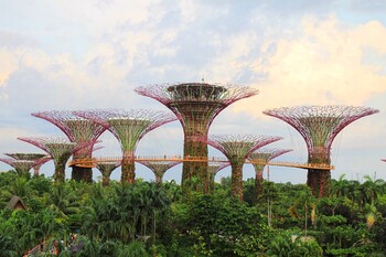 В Сингапуре непривитым запретили посещать рестораны и туробъекты