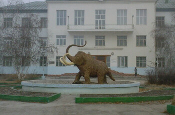 Всемирный центр мамонта хотят создать в Якутии