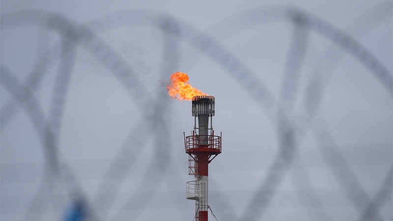 Аналитик спрогнозировала подорожание газа в Европе на 5–7%