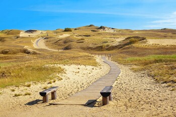 Куршская коса вновь открыта для тургрупп