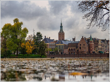 Нидерланды намерены ввести частичный локдаун