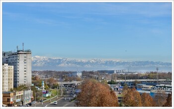 Red Wings запустила рейсы из Ростова-на-Дону в Ташкент