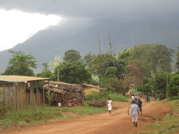 Страны мира продолжают вводить запреты на въезд с юга Африки из-за нового штамма COVID-19
