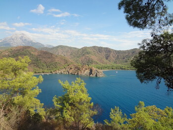 Суд разрешил обвиняемым в поджоге леса в Турции российским туристам вернуться в РФ