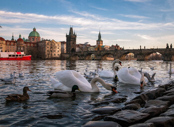 В Чехии ввели режим ЧС из-за роста заболеваемости COVID-19