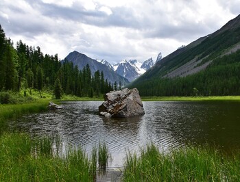 В Республике Алтай вводят QR-коды