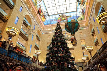 Госдума приняла в первом чтении проект о доступе в общественные места по QR-коду