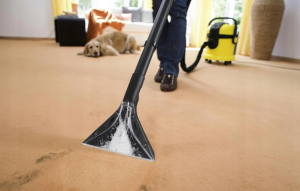 Химчистка ковровых покрытий: особенности ее выполнения