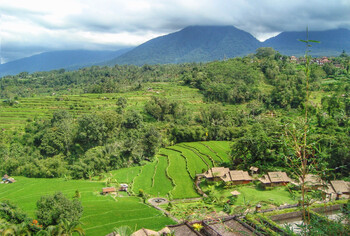 Индонезия полностью закрывает границы для иностранцев  