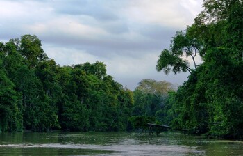 Малайзия страдает от сильнейшего за 40 лет наводнения