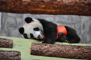 Московский зоопарк бесплатно пустит тех, кто принесёт подарки зверям