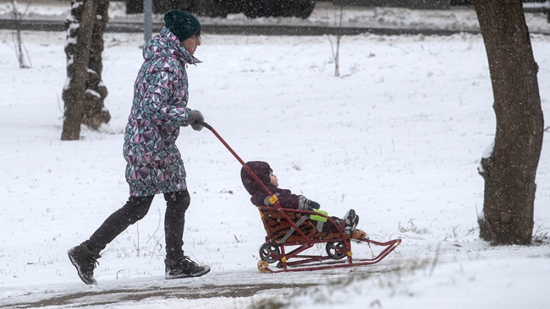 Правительство РФ направит 14 млрд рублей на выплаты неполным семьям
