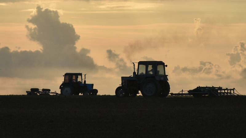 Правительство выделило почти 17 млрд рублей на сельскую ипотеку и поддержку аграриев