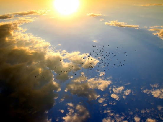 Психотерапевт Ефанова: Начинать терапию до восполнения витамина D бессмысленно