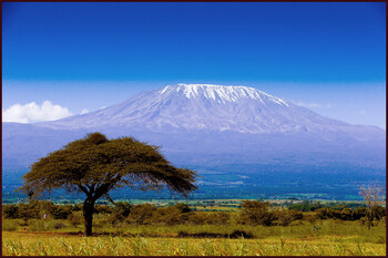 Россия вводит ограничения на въезд из Кении