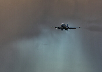 В аэропортах Москвы из-за снегопада задержаны и отменены более 30 рейсов